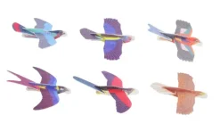 Bird Glider